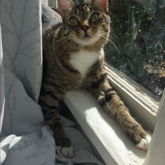 Hello! 👋 - Picture 5 of 6